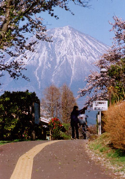 fuji_asfalto