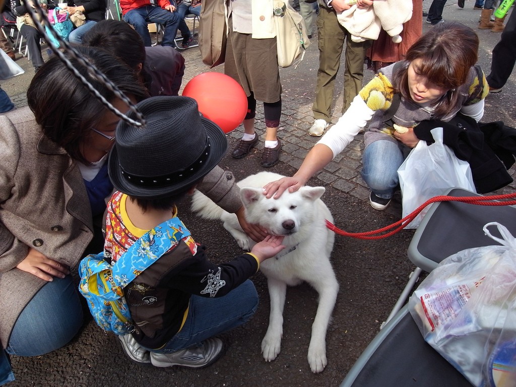 Pessoas acariciam cão da raça akita em parque no Japão
