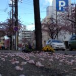 Foto: Karin Kimura