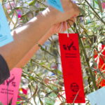 festival das estrelas tanabata matsuri tanzaku