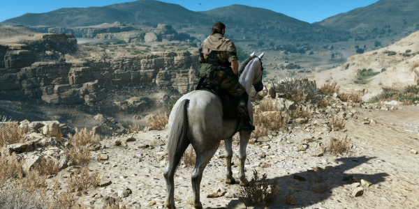 snake