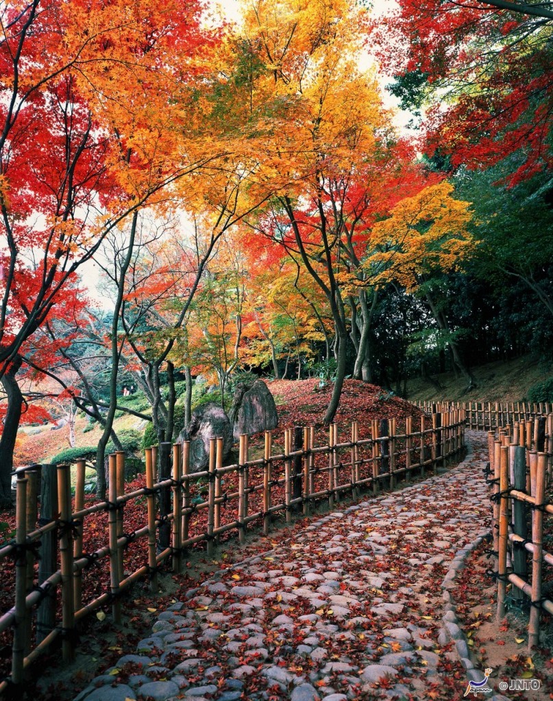 Transformação das cores na cidade de Takamatsu, Kagawa. Foto:JNTO