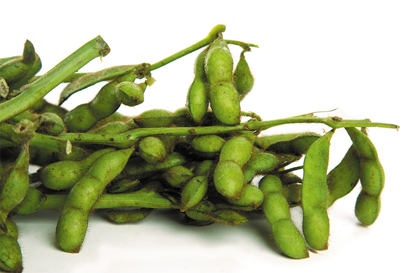 edamame