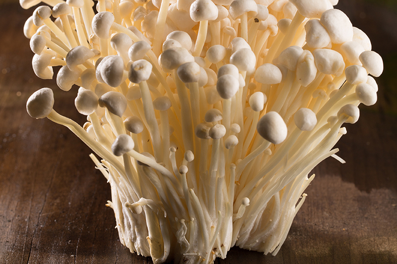 enoki_img