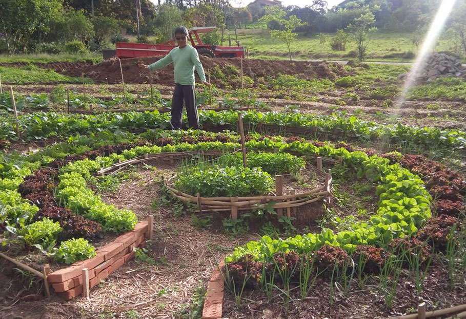 Hiroshi ensina dicas para montar uma horta orgânica hiroshi_horta-organica2