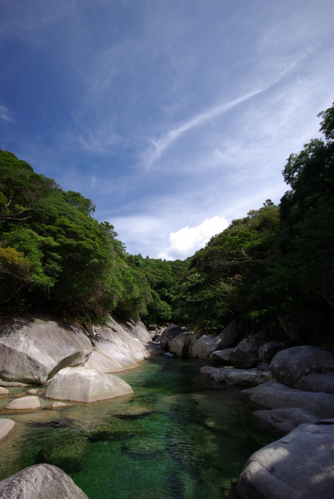 yakushima1