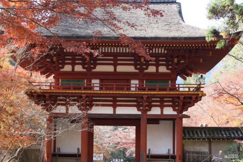 Yasufumi Nishi/JNTO