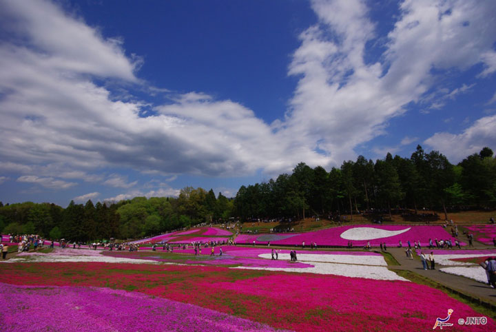 saitamaJNTO