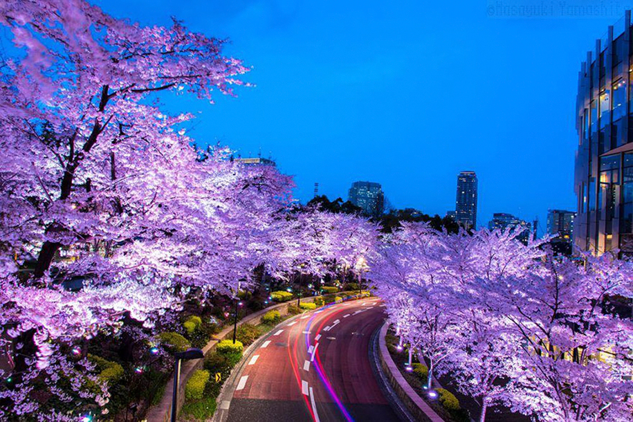 Foto de Masayuki Yamashita em Minato-ku, Tokyo