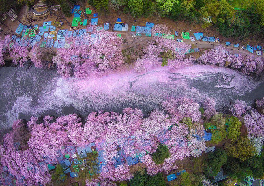 Foto de Danilo Dungo no Parque Inokashira, em Tokyo