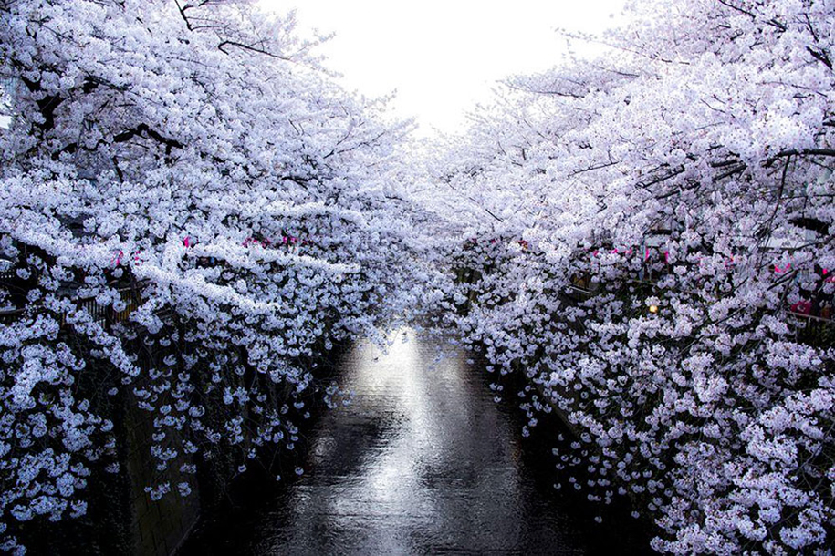 Foto de Masayuki Yamashita em Meguro, Tokyo