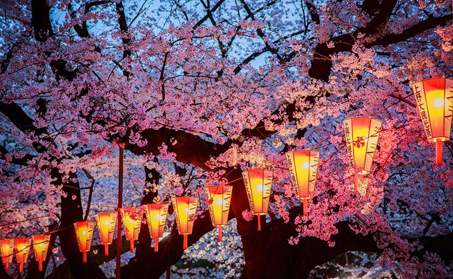 Foto de Aurora Simionescu no Parque Ueno, Tokyo