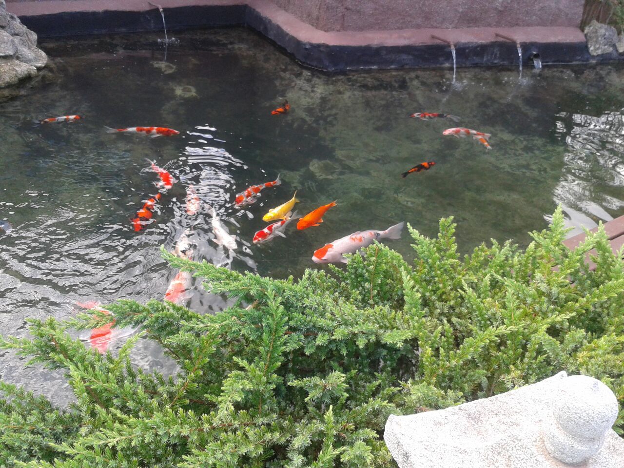 Exposição acontece no Parque Maeda, em Itu