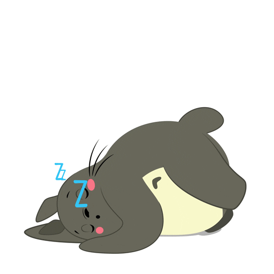 sleepytotoro