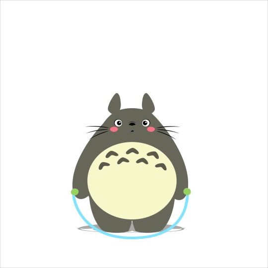 totoro_corda