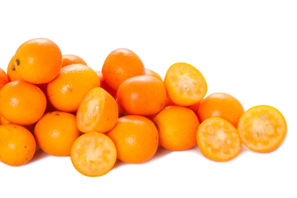 Kinkan, a laranja-ouro kinkan-1