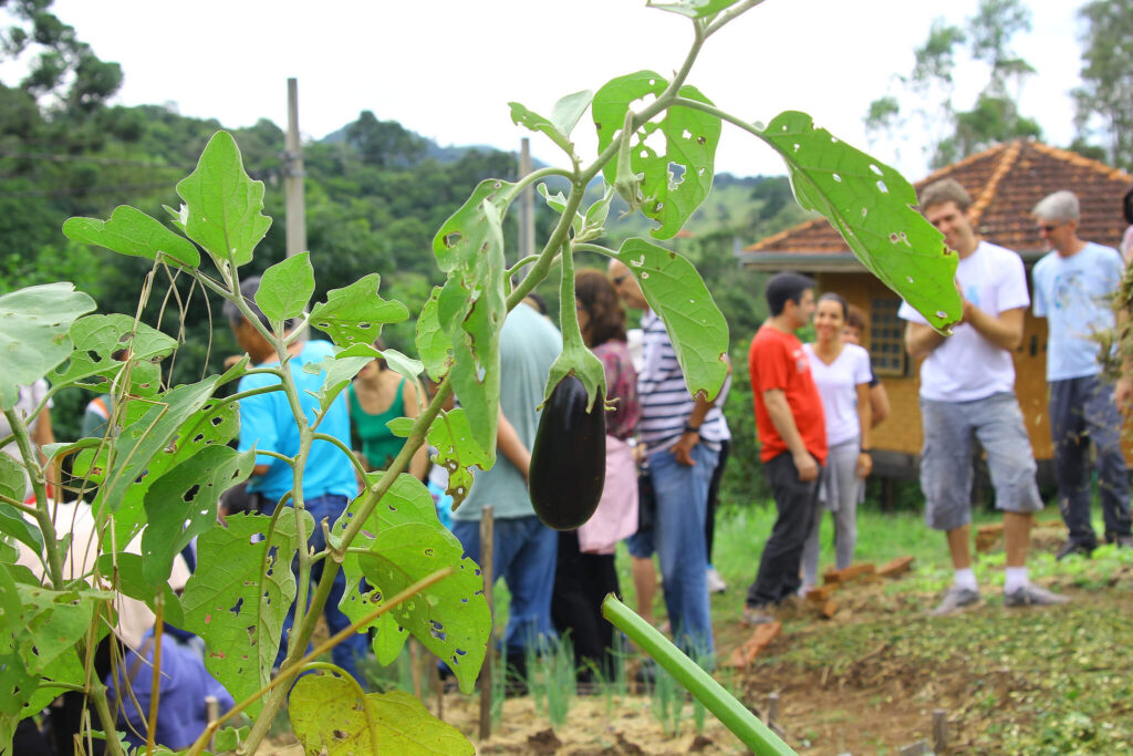 ecovila-2
