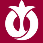 aichi