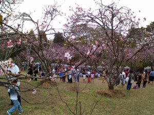 foto por: Sekiya || Facbook do evento