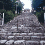 escadaria everfilter
