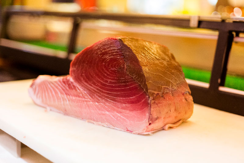 atum bluefin