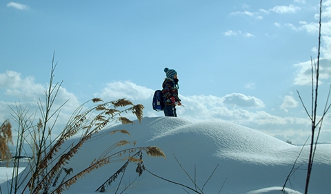 Kohei Igarashi