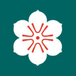 Bandeira da província de Saga