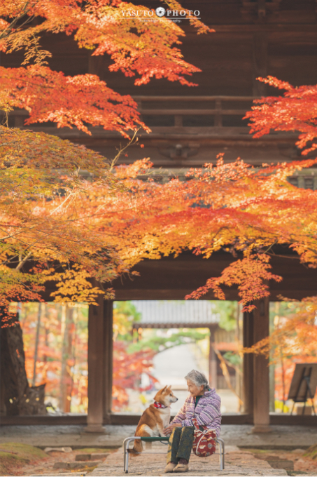 Yasuto Photo